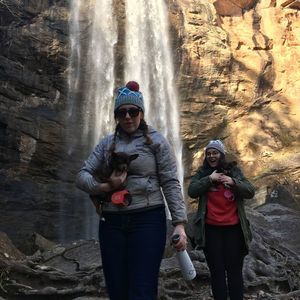 Meet your Posher, Grace